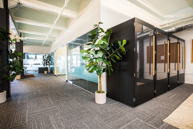 Modern office interior